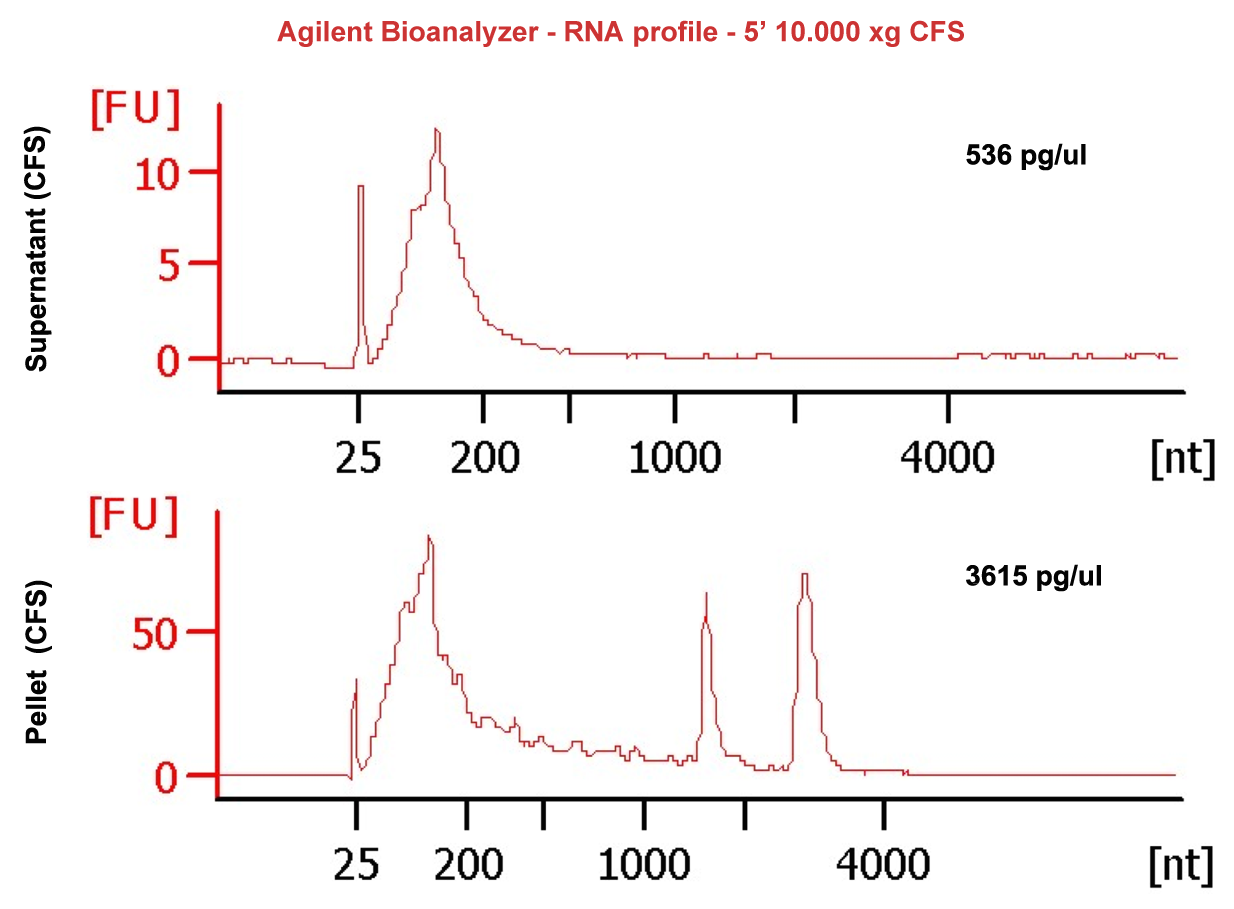 Figure 1: SN & pellet bioanalyzer profile