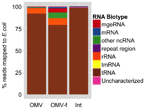 Figure 3: Annotated profile of RNA extracted from OMVs obtained from Escherichia coli cultures (OMV), of RNA extracted from OMV-depleted Escherichia coli culture supernatant (OMV-f) and RNA extracted from the bacterial cells themselves (Int).