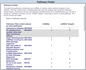 Sample Pathway Finder results file