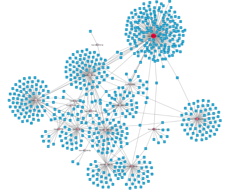 New network analysis tools on the Genboree Workbench exRNA Portal