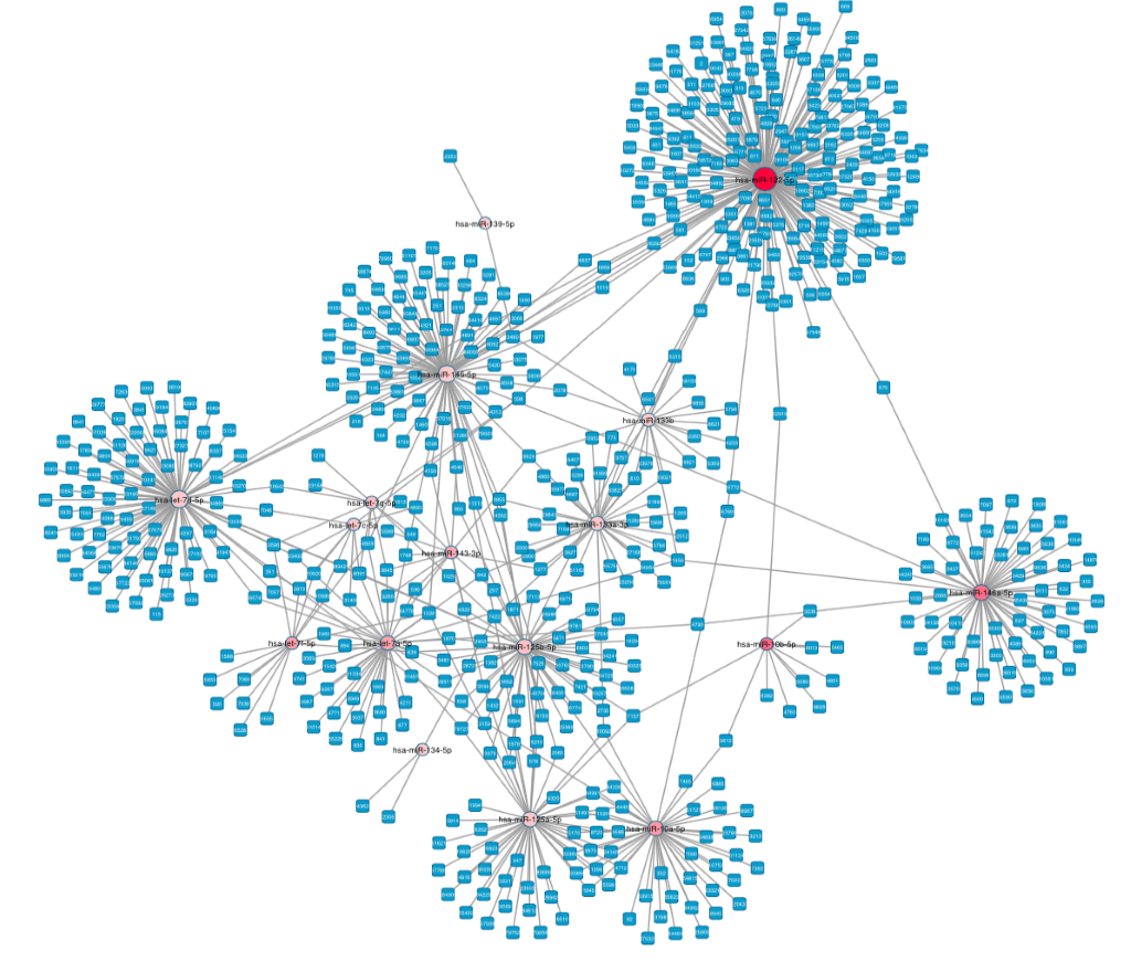 network analysis tools