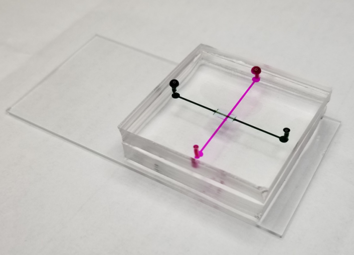 Microfluidic device prototype