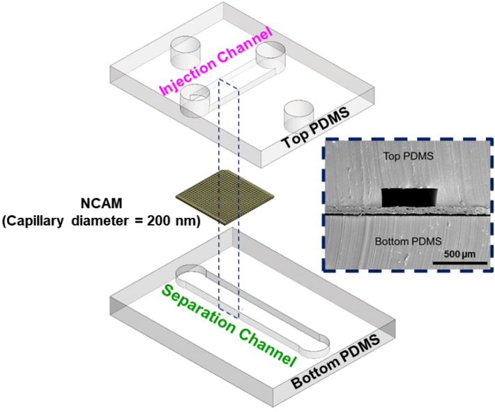 Exploded view of microfluidic channels